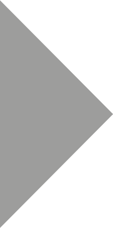 Projets résidentiels 1 Habitations Napierville - Triangle gris